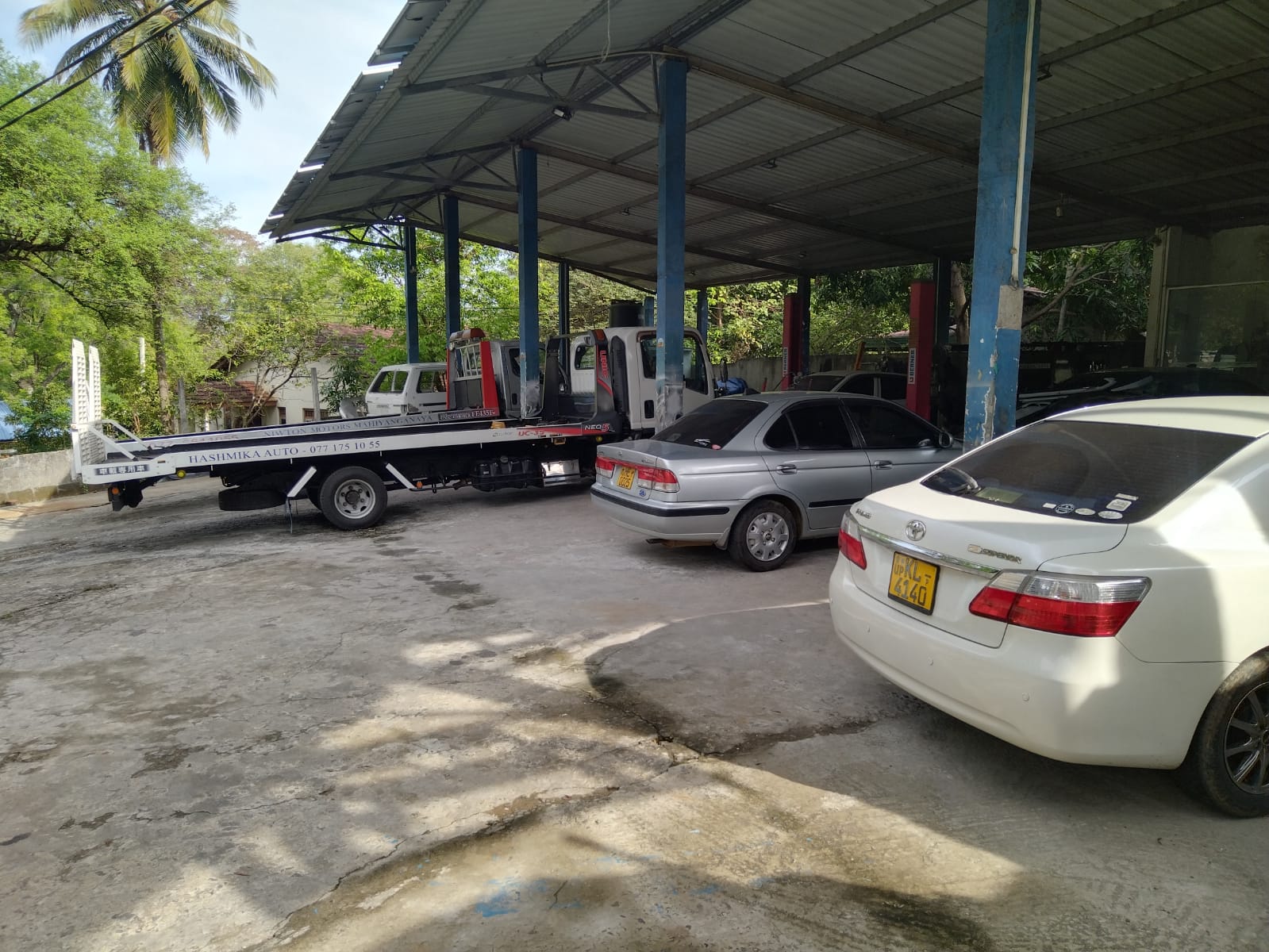 About Niwton Motors
