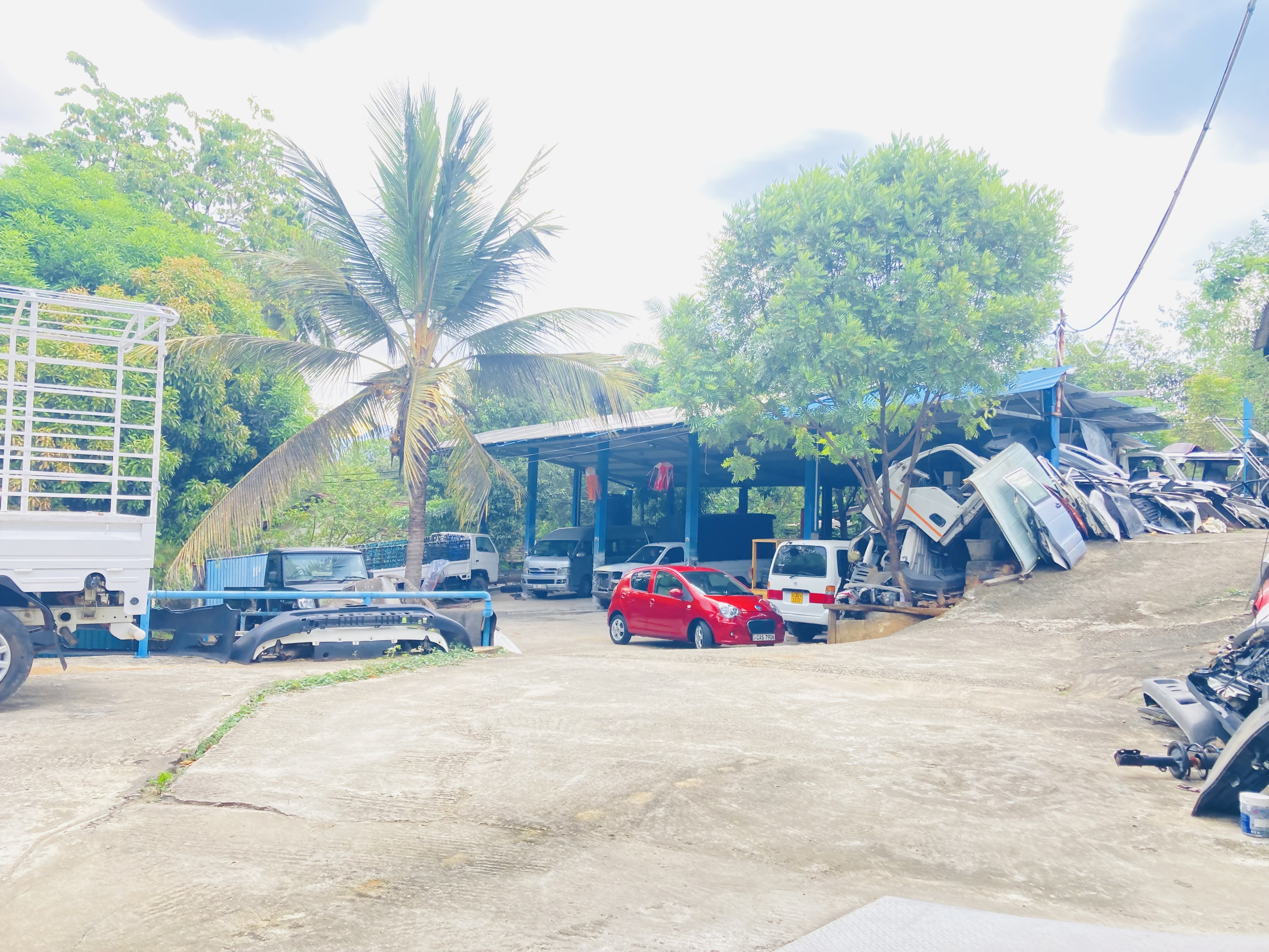 Niwton Motors Gallery